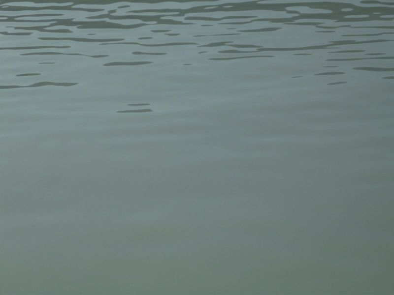 2009-08-12-1702_Sejltur_4
