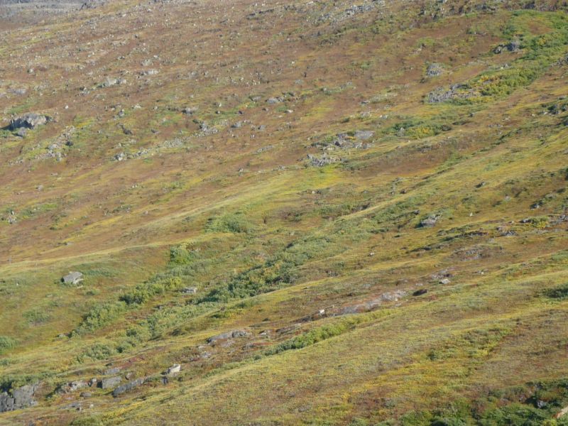 2009-08-27-1805_Alu og Søren i Braj_Jagt_3