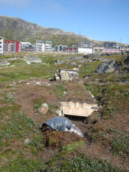 2009-08-05-1357_Rygeovn