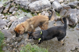 Djanco - ude og inde