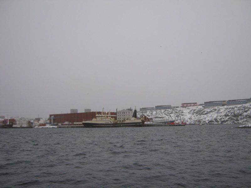 Rensdyrjagt i Ameralik