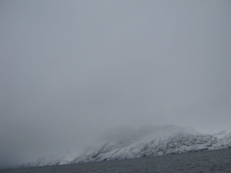 Rensdyrjagt i Ameralik