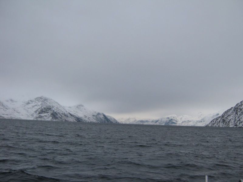 Rensdyrjagt i Ameralik