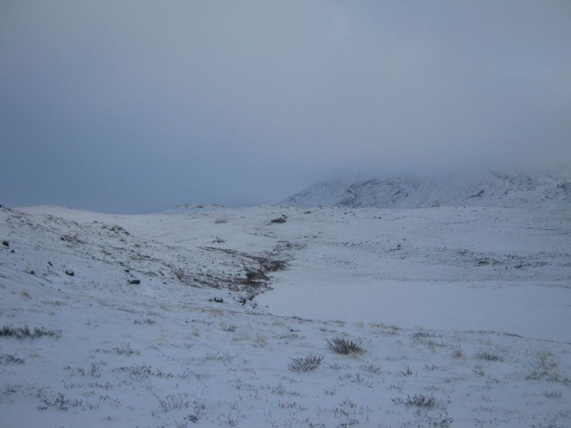 Rensdyrjagt i Ameralik