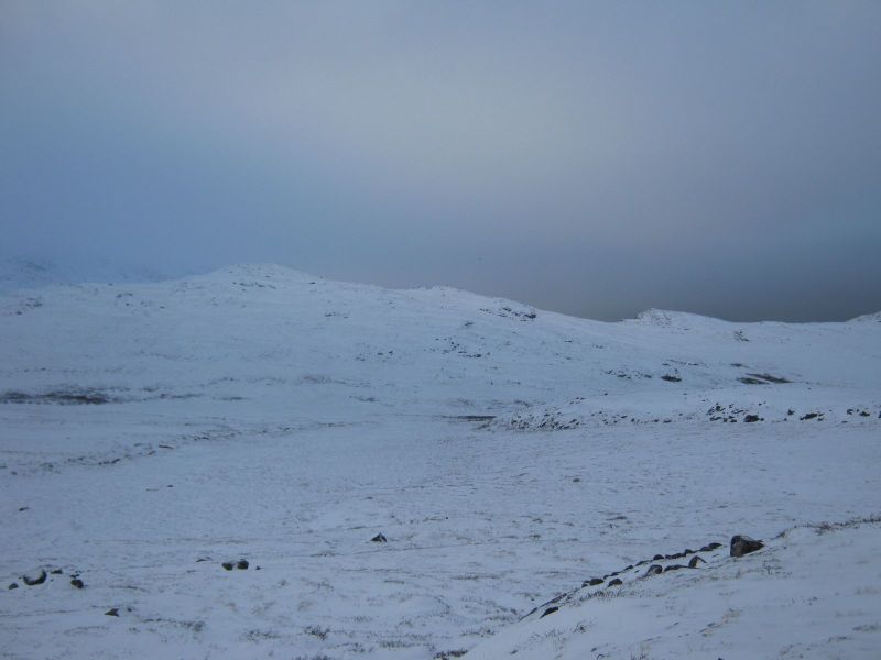 Rensdyrjagt i Ameralik