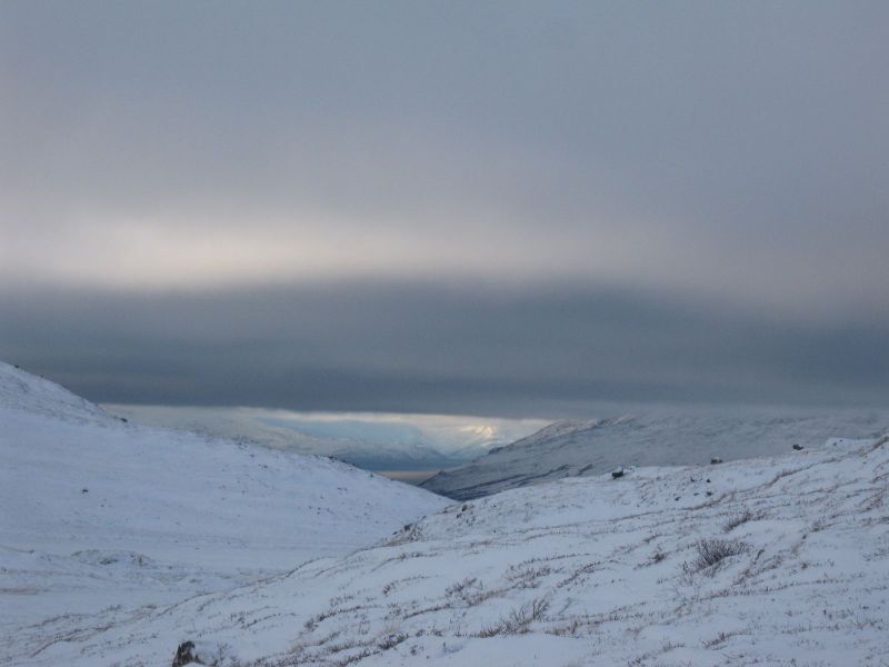 Rensdyrjagt i Ameralik