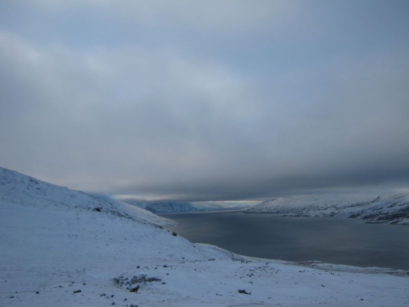 Rensdyrjagt i Ameralik