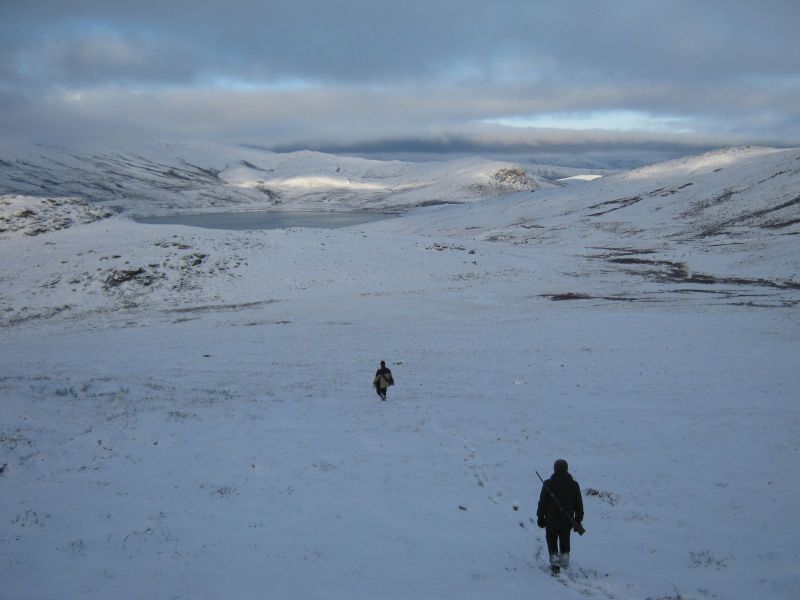 Rensdyrjagt i Ameralik