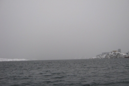 Rensdyrjagt i Ameralik