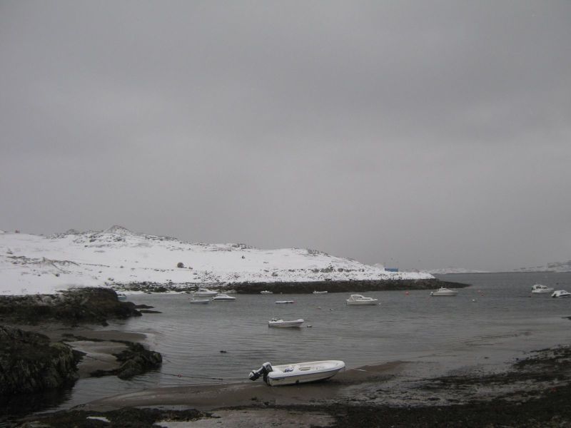 2009-11-02-1305_-_3