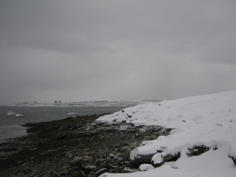 2009-11-02-1305_-_4
