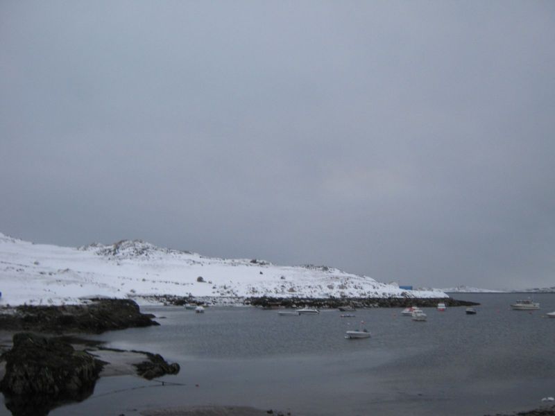 2009-11-17-1449_-_2