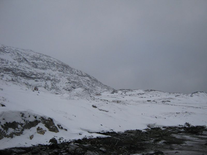 2009-11-18-1351_-_2