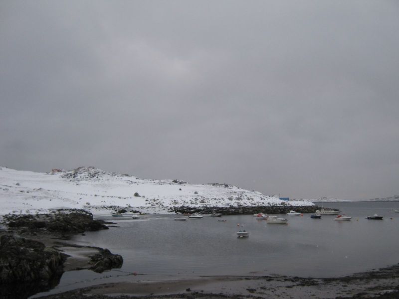 2009-11-18-1351_-_3