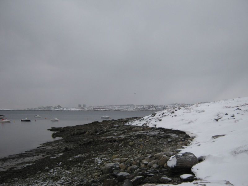 2009-11-18-1351_-_4
