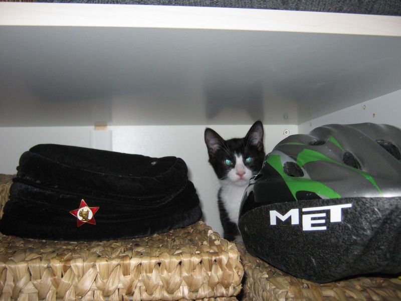 2009-12-12-0224_Kat