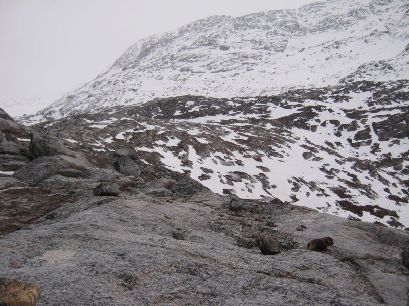 2010-01-07-1118_Fra gåture i Nuuk_-_3