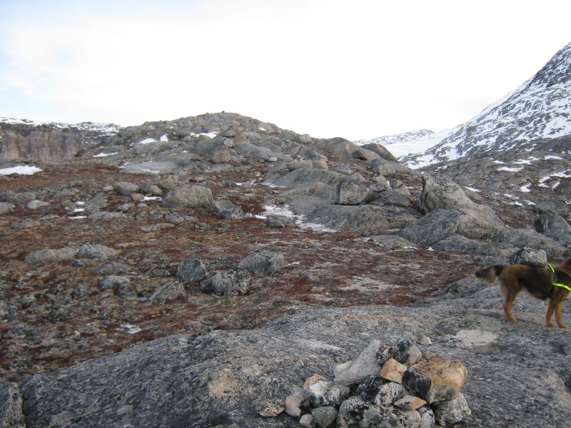 Djanco ude i naturen