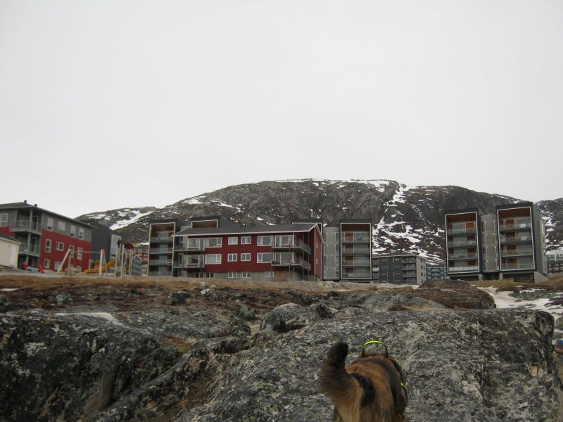 2010-02-10-1133_Fra gåture i Nuuk_Pupik