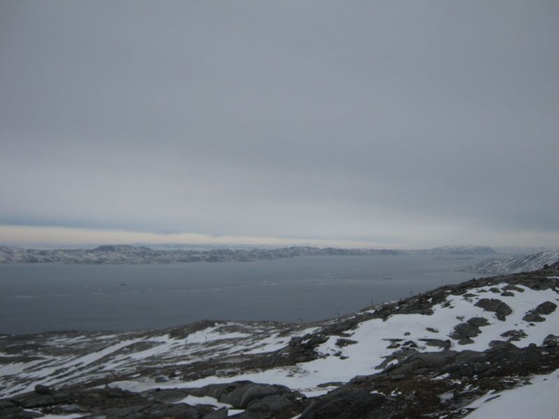 Postfly letter i Nuuk