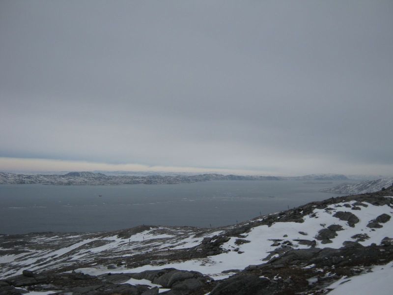 Postfly letter i Nuuk