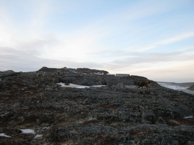 2010-02-12-1028_Fra gåture i Nuuk_-_5