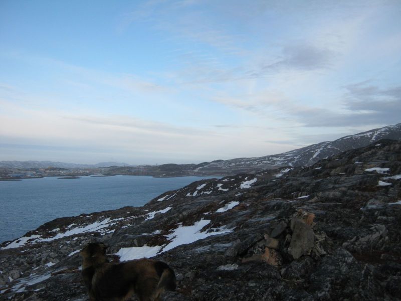 2010-02-12-1051_Fra gåture i Nuuk_-_7