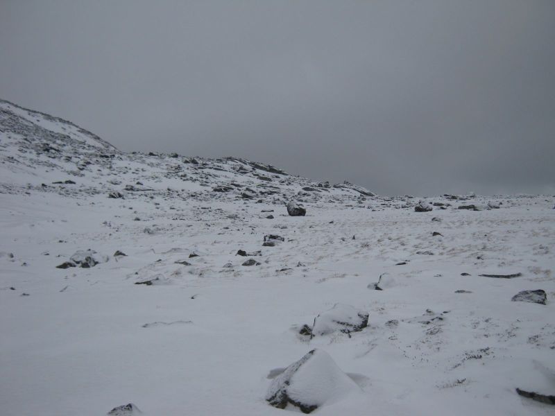 2010-02-26-1029_-_-_2
