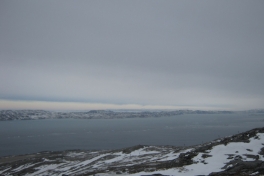 Postfly letter i Nuuk