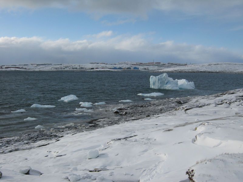 2010-03-01-1507_-_Isfjeld