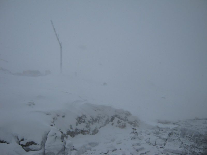2010-03-02-1154_Gåtur_-_2