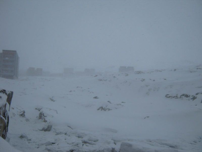 2010-03-02-1155_Gåtur_-_2