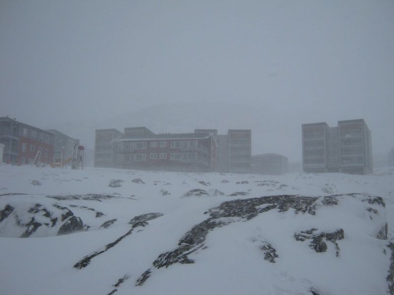 2010-03-02-1155_Gåtur_Pupik