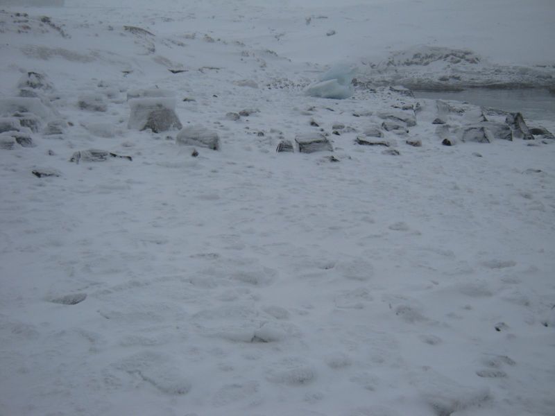 2010-03-02-1158_-_-_2