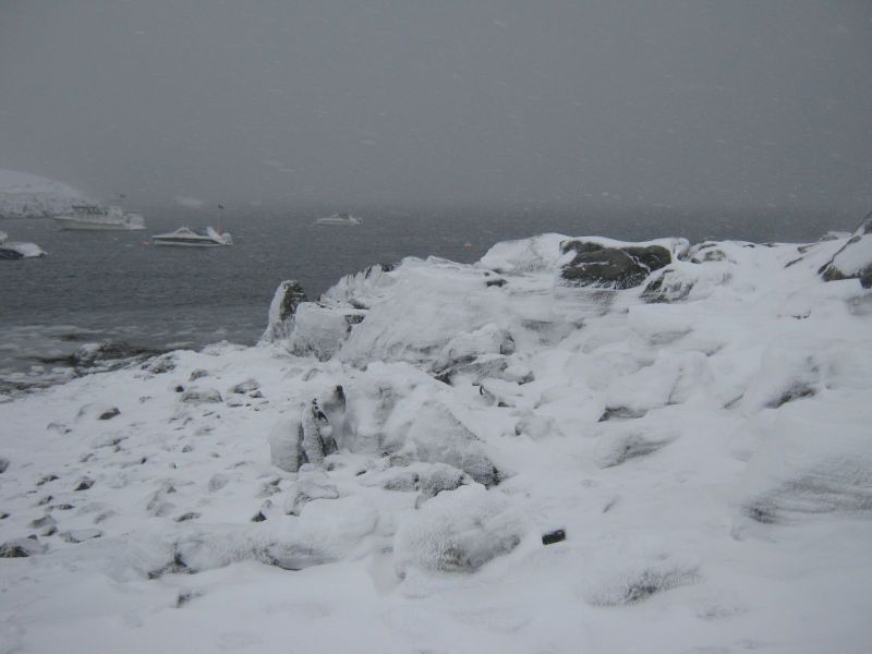 2010-03-02-1158_-_-_3