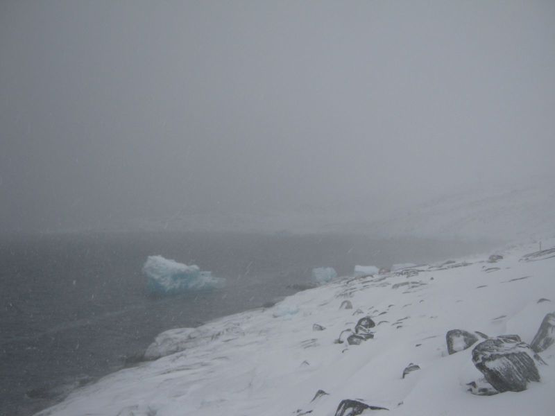 2010-03-02-1201_-_-