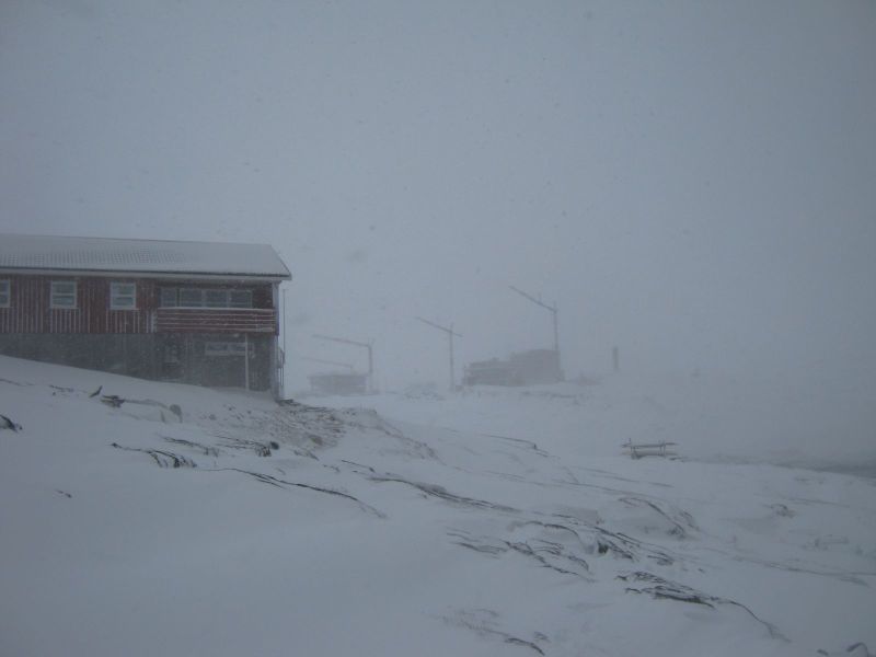 2010-03-02-1202_-_-