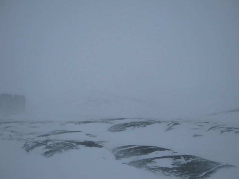 2010-03-03-1140_Gåtur_-_2