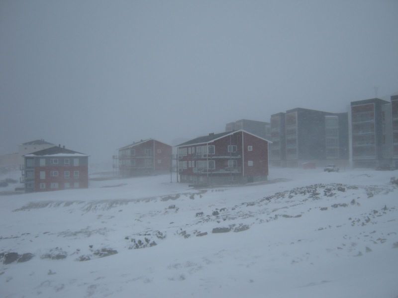 2010-03-03-1140_Gåtur_Pupik