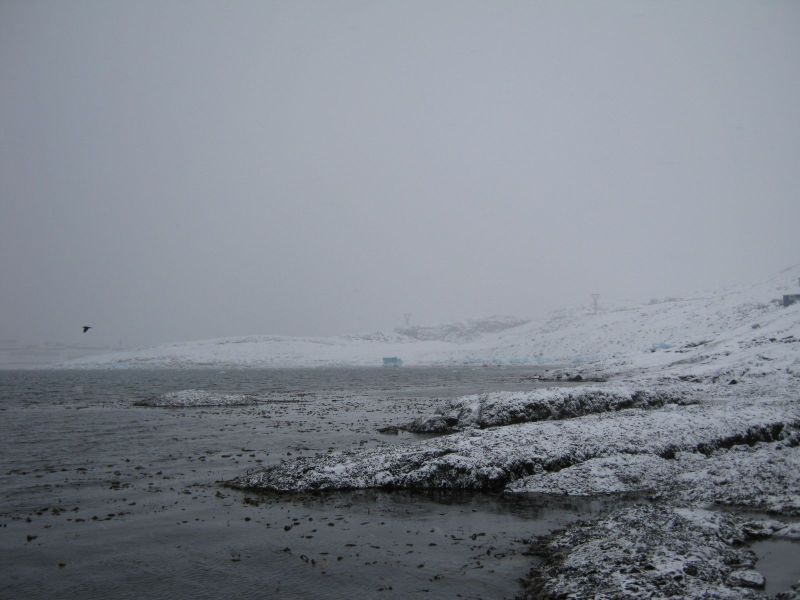 2010-03-03-1551_-_-
