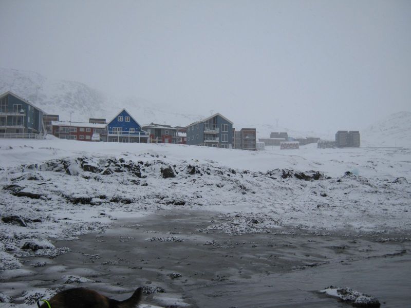 2010-03-03-1551_-_-_2