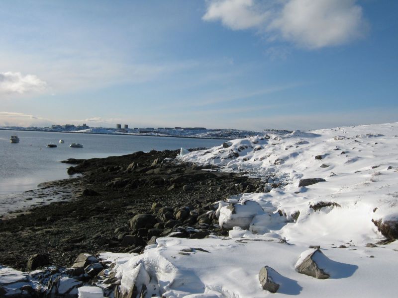 2010-03-05-1517_Gåtur_-_3