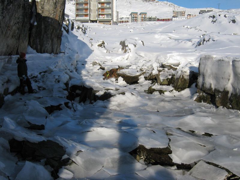 Djanco ude i naturen
