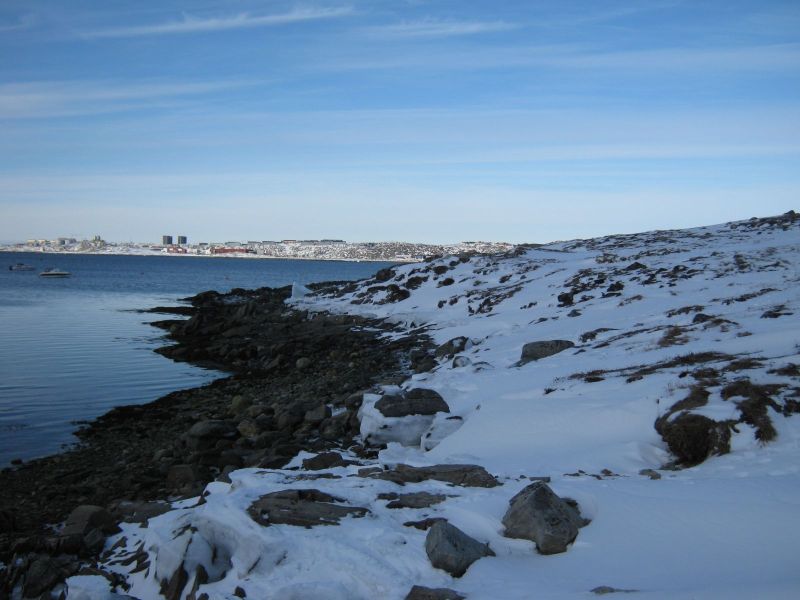 2010-03-08-1011_-_-_3