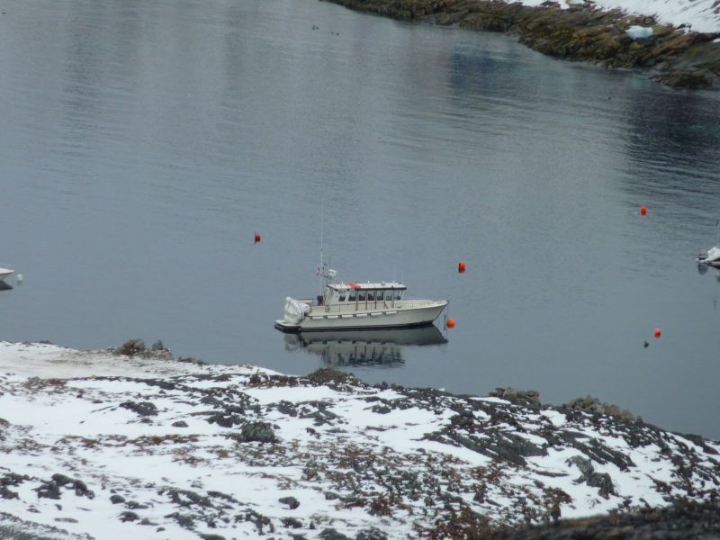 2010-03-09-0920_Gåtur_Sterna