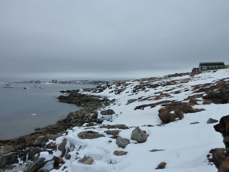 2010-03-09-1539_Gåtur_-_2