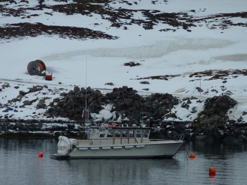 2010-03-09-1545_-_Sterna