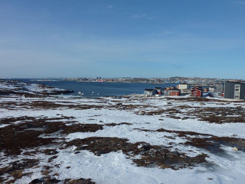 2010-03-10-1133_-_Pupik