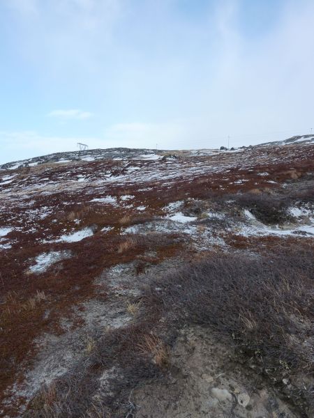 2010-03-11-1136_-_-_2
