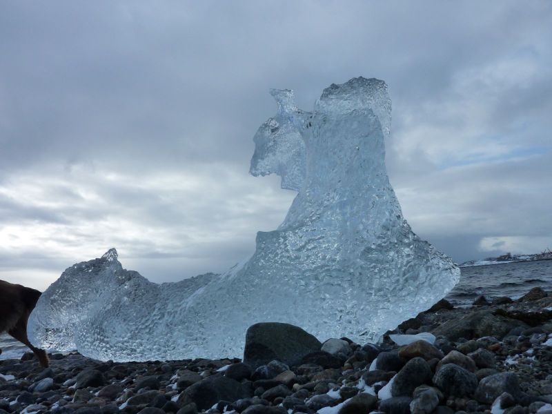 2010-03-11-1139_-_Isfjeld